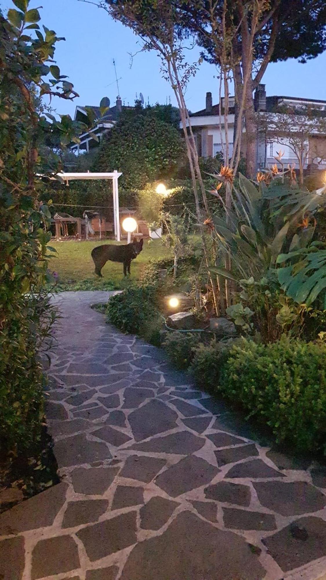 فندق Roma - Casalpalocco - Amipsia كاسال بالوكو المظهر الخارجي الصورة