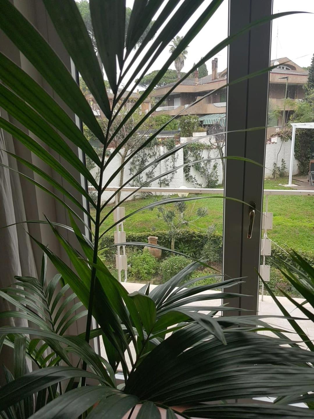 فندق Roma - Casalpalocco - Amipsia كاسال بالوكو المظهر الخارجي الصورة